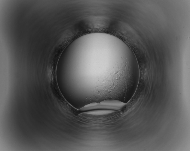 X0000093420599200710121145