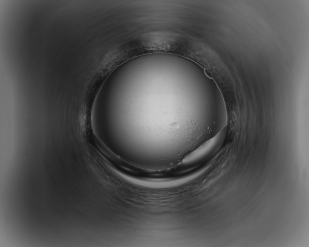 X0000093420600200710121145