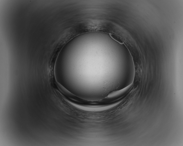 X0000093420601200710121145