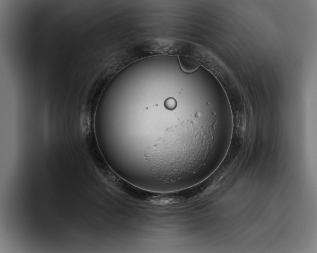 X0000093420602200710121145