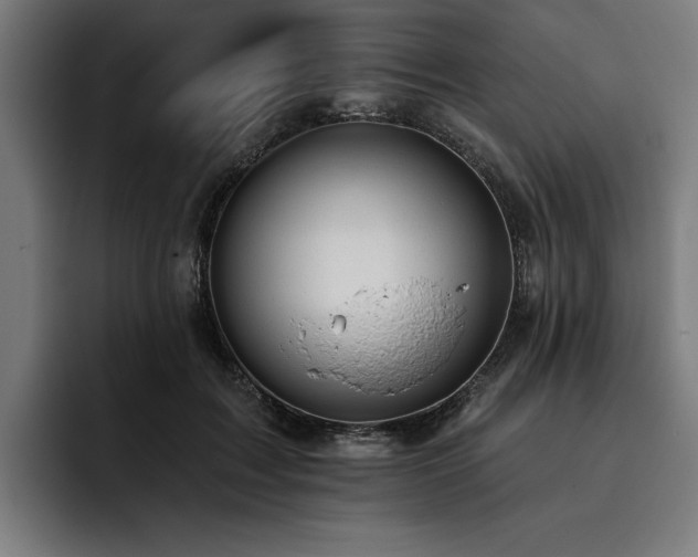 X0000093420603200710121145