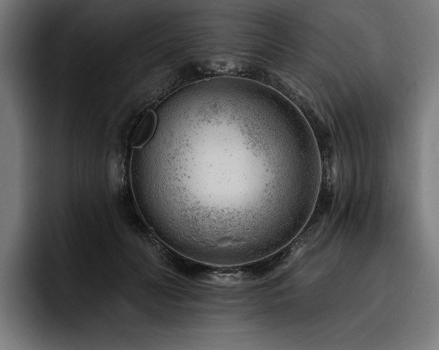 X0000093420606200710121145