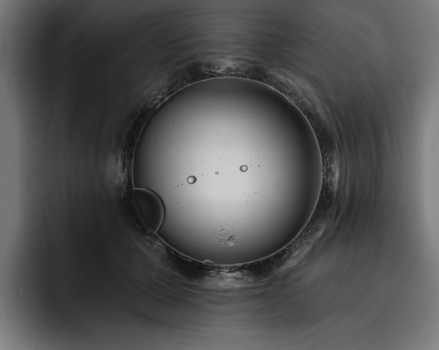 X0000093420607200710121145