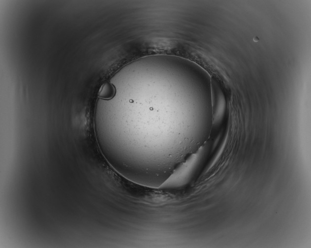 X0000093420608200710121145