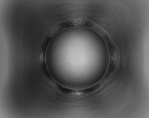 X0000093420610200710121145