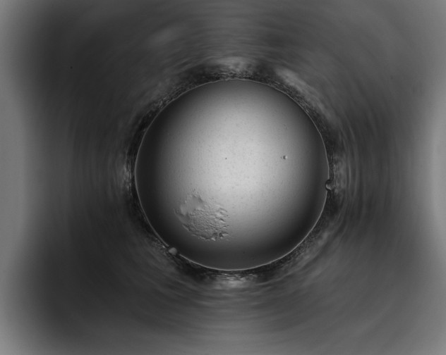 X0000093420613200710121144