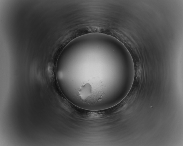 X0000093420616200710121144