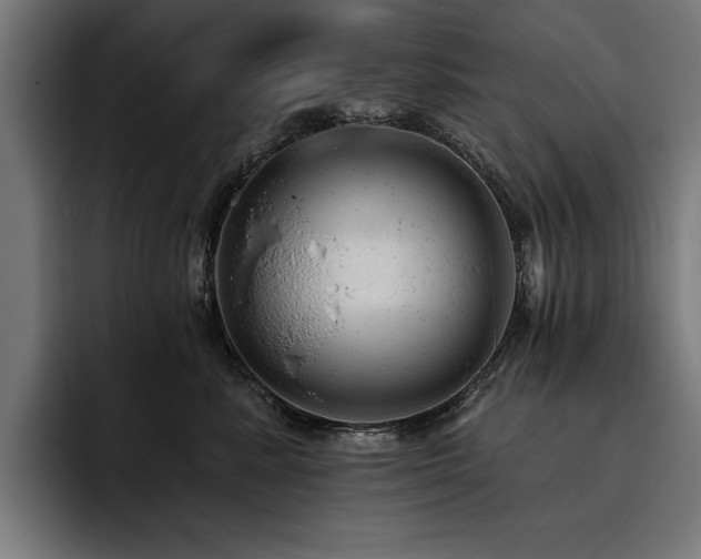 X0000093420619200710121144