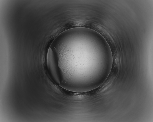 X0000093420620200710121144