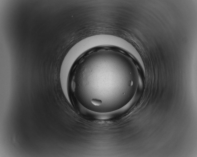 X0000093420621200710121144