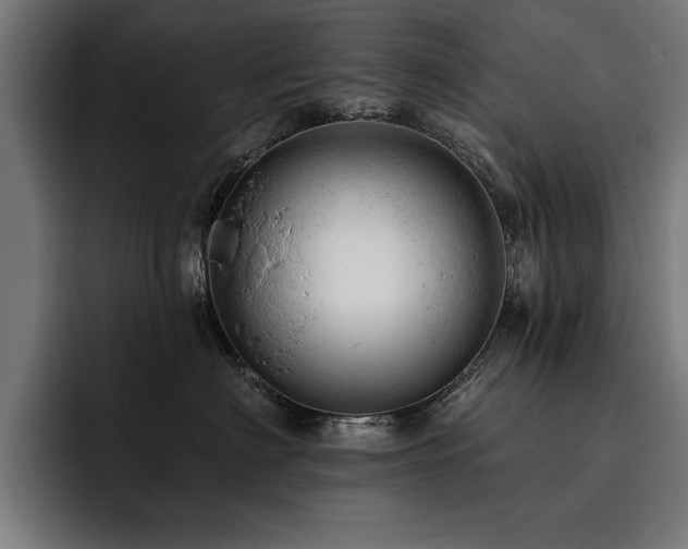X0000093420622200710121144