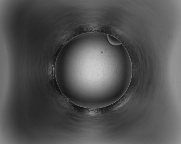 X0000093420624200710121144