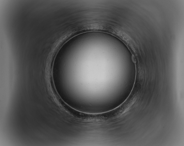 X0000093420625200710121144