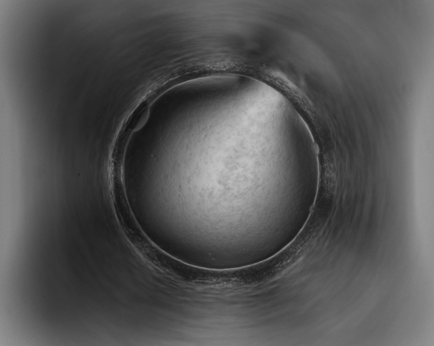 X0000093420626200710121144