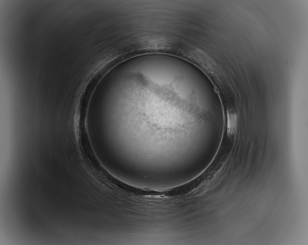 X0000093420627200710121144