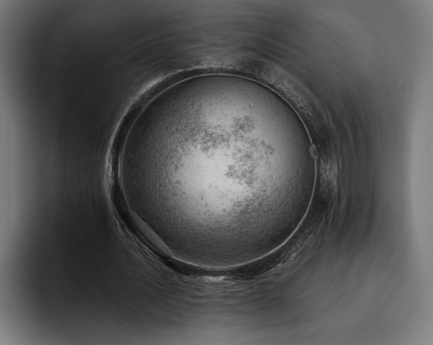 X0000093420628200710121144