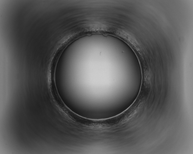 X0000093420629200710121144