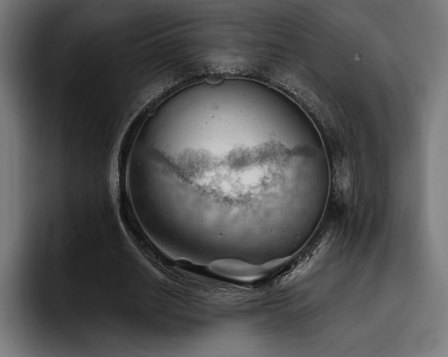 X0000093420630200710121144