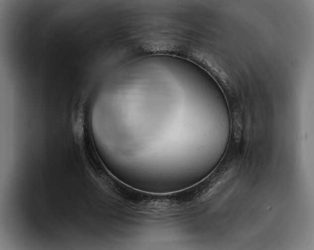 X0000093420631200710121144