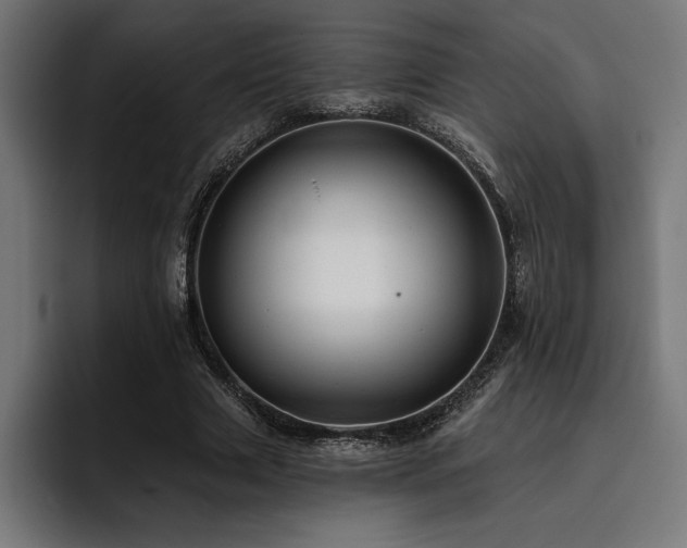 X0000093420633200710121144