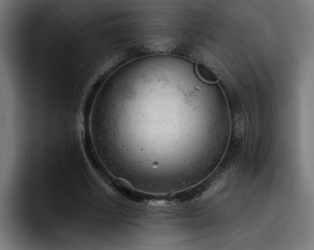 X0000093420634200710121144