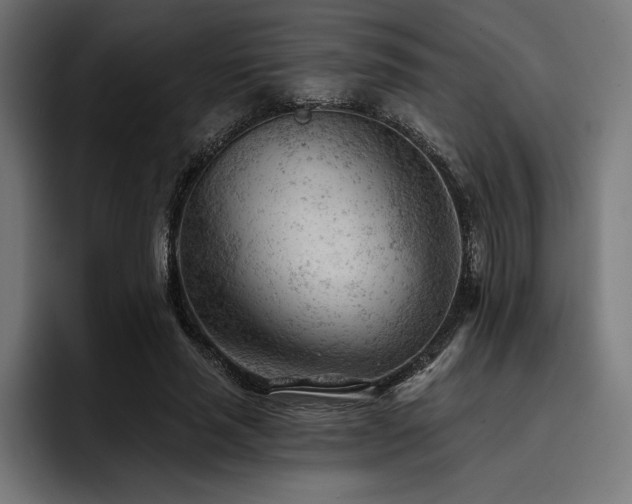 X0000093420637200710121144