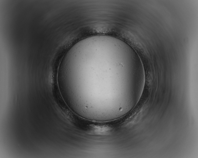 X0000093420639200710121144