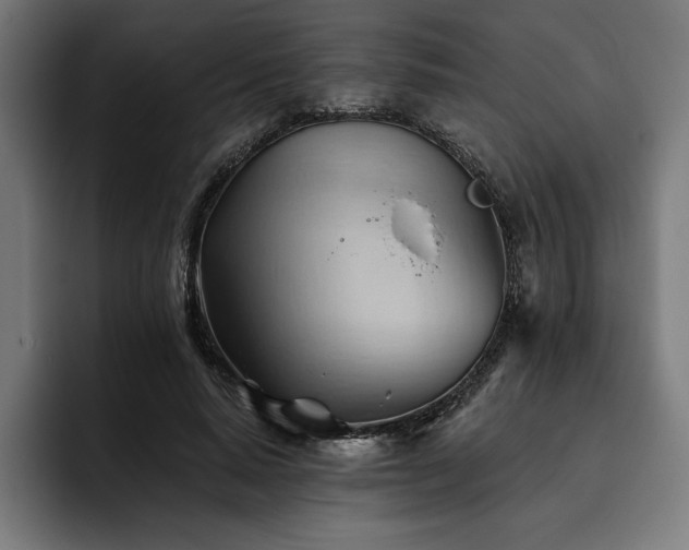 X0000093420640200710121144