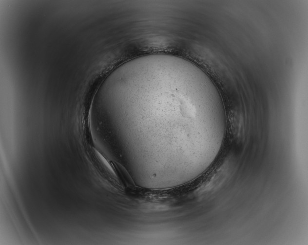 X0000093420642200710121144