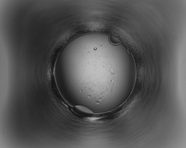 X0000093420644200710121144