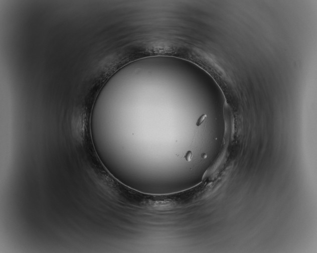 X0000093420645200710121144