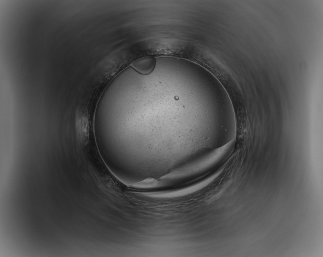 X0000093420646200710121144
