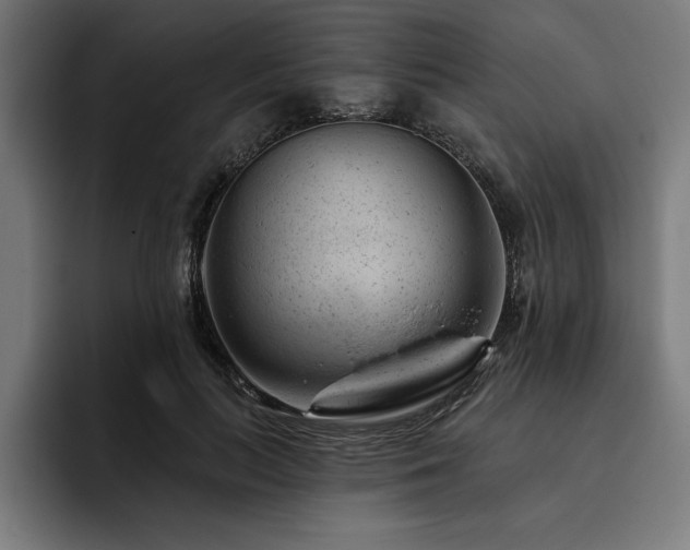 X0000093420647200710121144