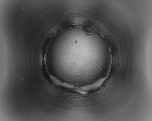 X0000093420648200710121144