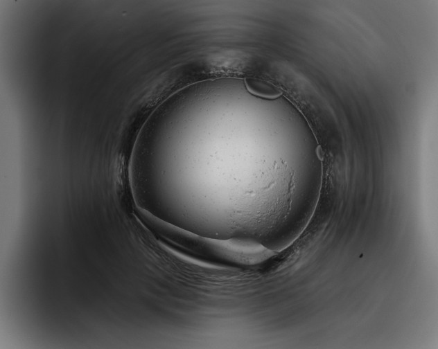 X0000093420649200710121144