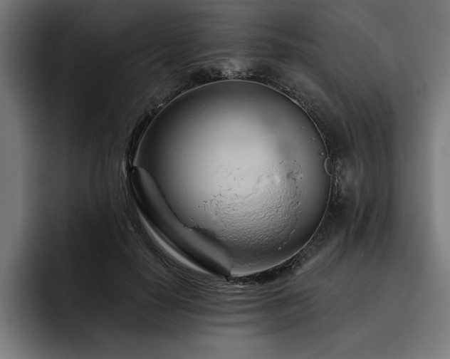 X0000093420650200710121144