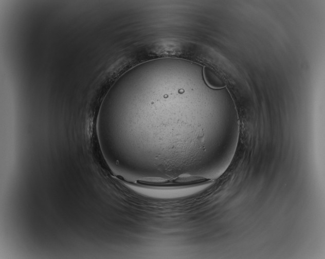 X0000093420652200710121144