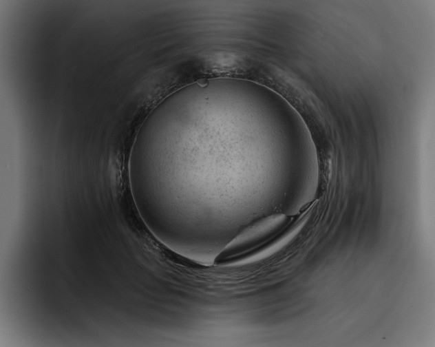 X0000093420653200710121144
