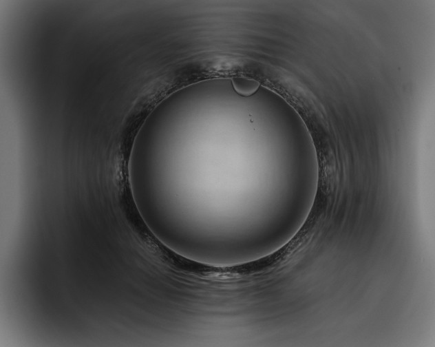 X0000093420654200710121144