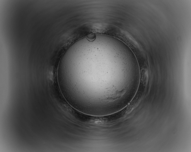 X0000093420655200710121144
