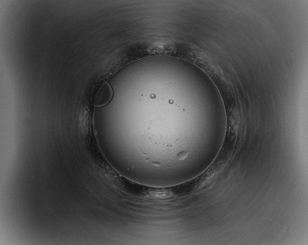 X0000093420659200710121144