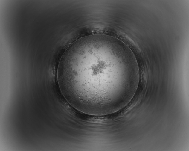 X0000093420661200710121144