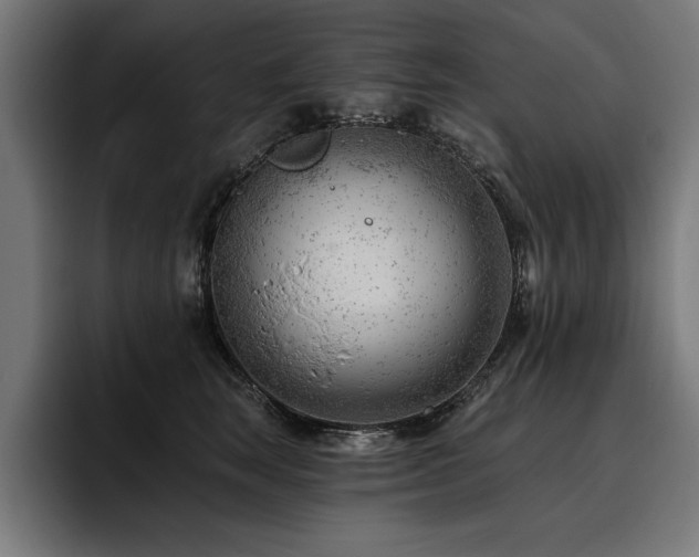 X0000093420663200710121144