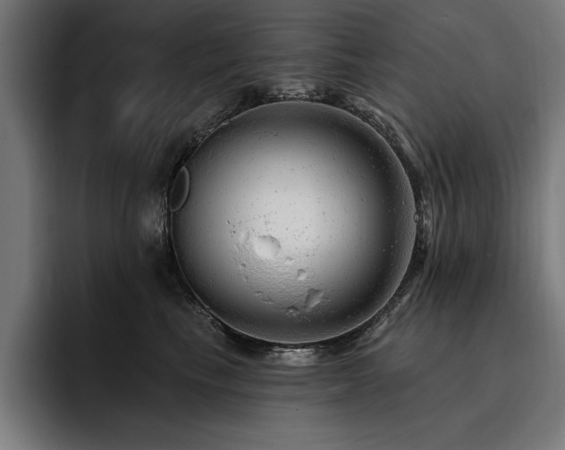 X0000093420665200710121144