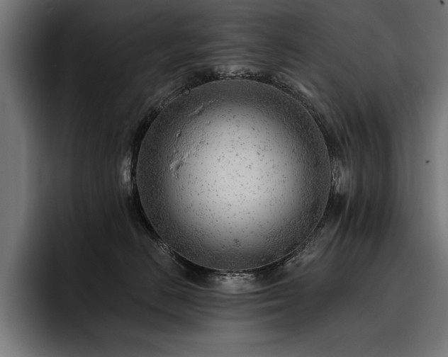 X0000093420670200710121144