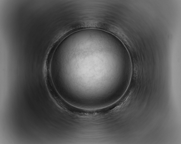 X0000093420674200710121144