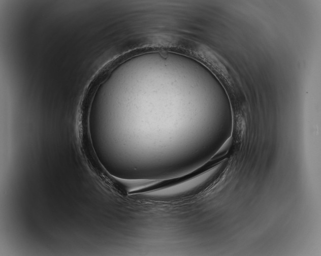 X0000093420676200710121144