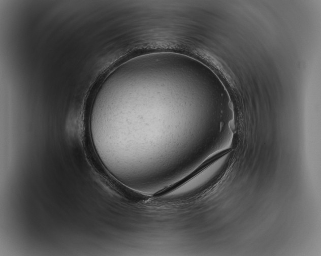 X0000093420677200710121144