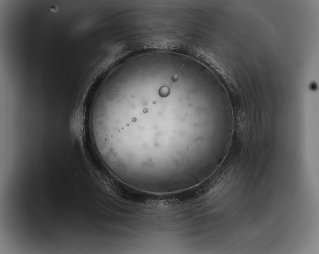 X0000093420679200710121144