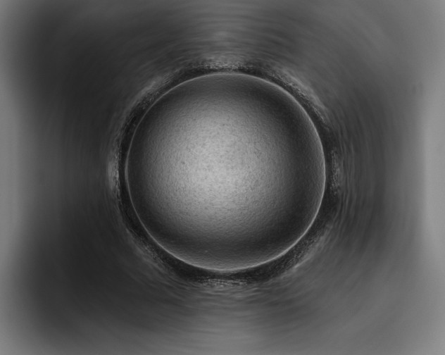 X0000093420681200710121144